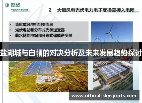 盐湖城与白帽的对决分析及未来发展趋势探讨